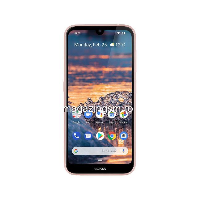 Telefon Nokia 4,2 Dual Sim 32GB Roz